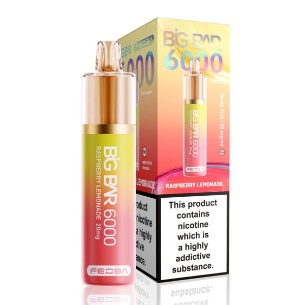 Feoba Big Bar 6000 Puffs Prefilled Vape - Image 16