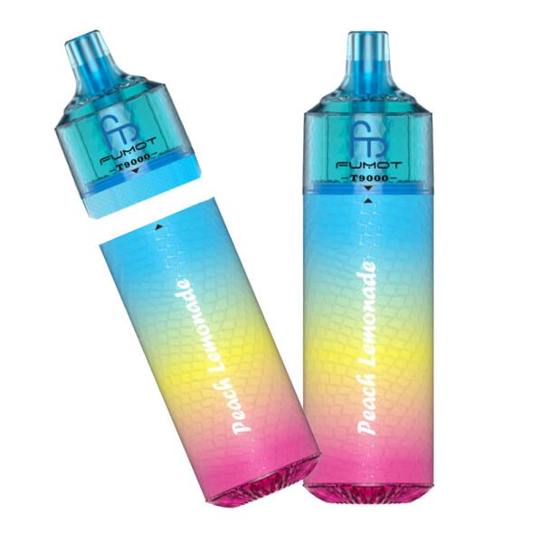 Fumot RandM T9000 Prefilled Vape - Image 5